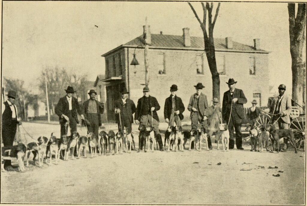 The American fox-hound - embracing a history of the celebrated Trigg, Birdsong and Maupin strains (1890)