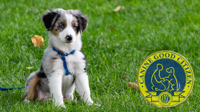 The Canine Good Citizen Test