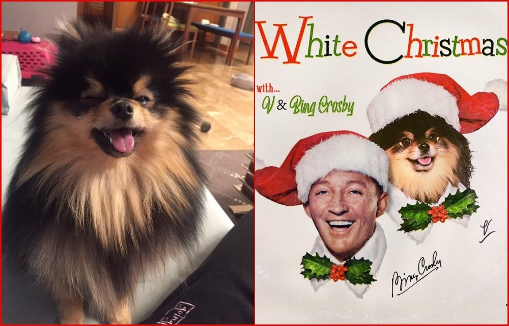 BTS V White Christmas