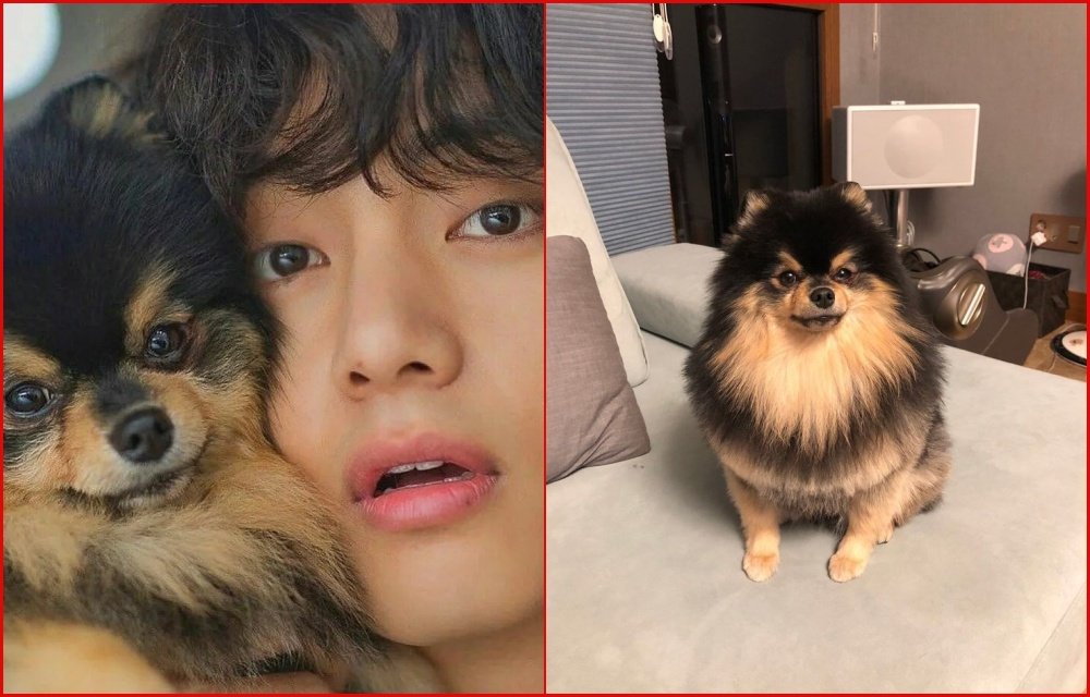 Kim Taehyung aka V and Tannie