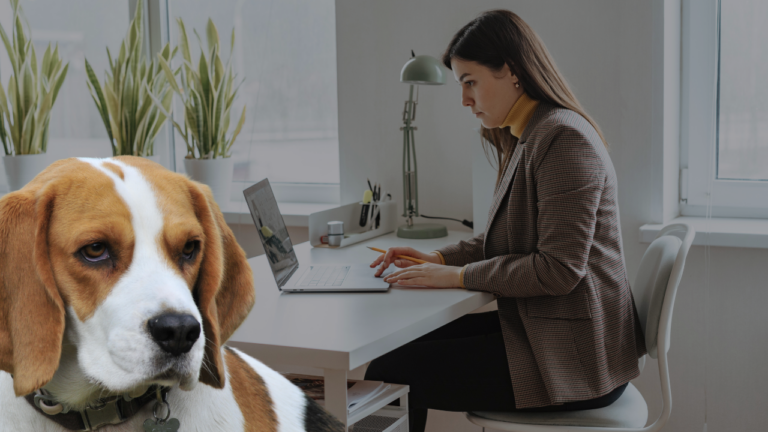 Featured image: Dogs for busy people