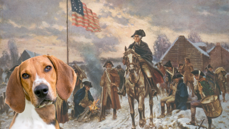 Painting of George Washington during war of Independence