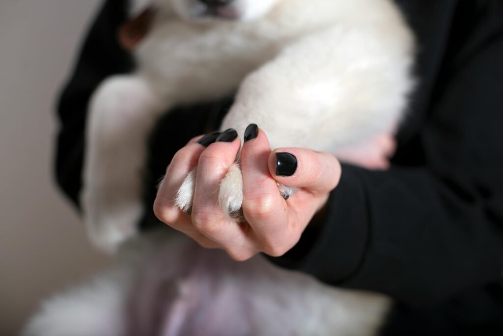 A woman holds a dog's paws.
