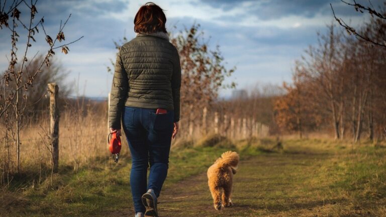 Walking a dog off leash