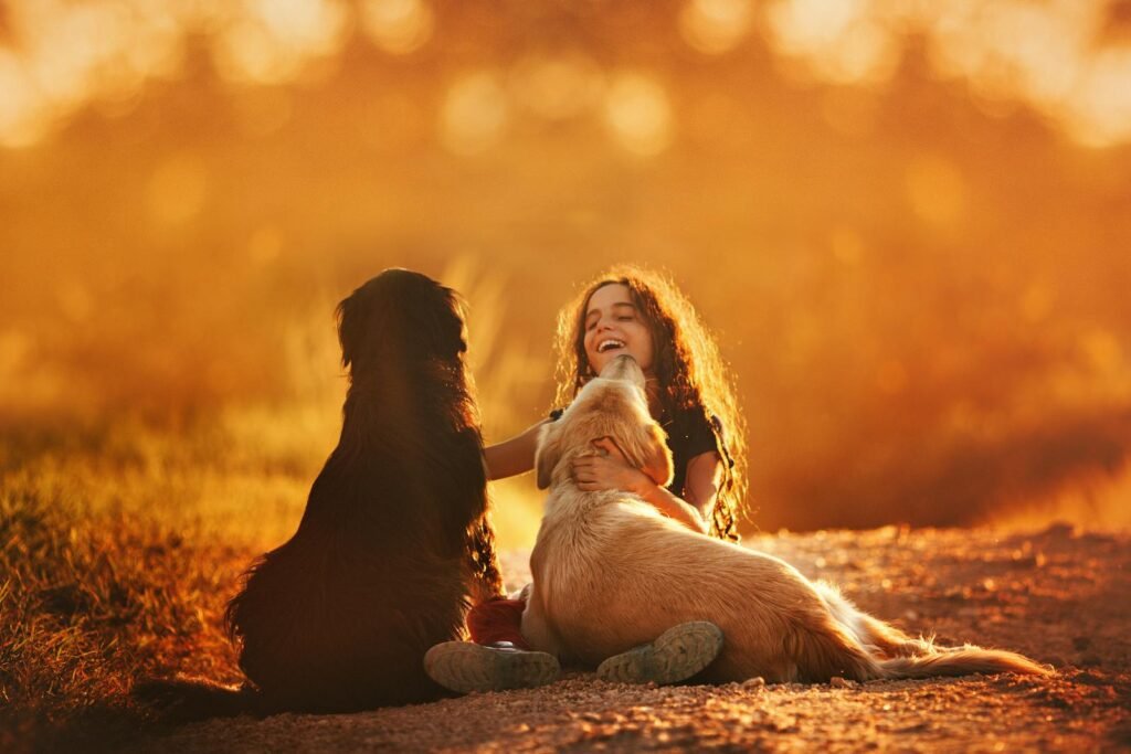 A cheerful child enjoys a warm sunset with two dogs, showcasing happiness and companionship.
