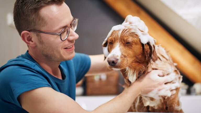 man bathing a dog