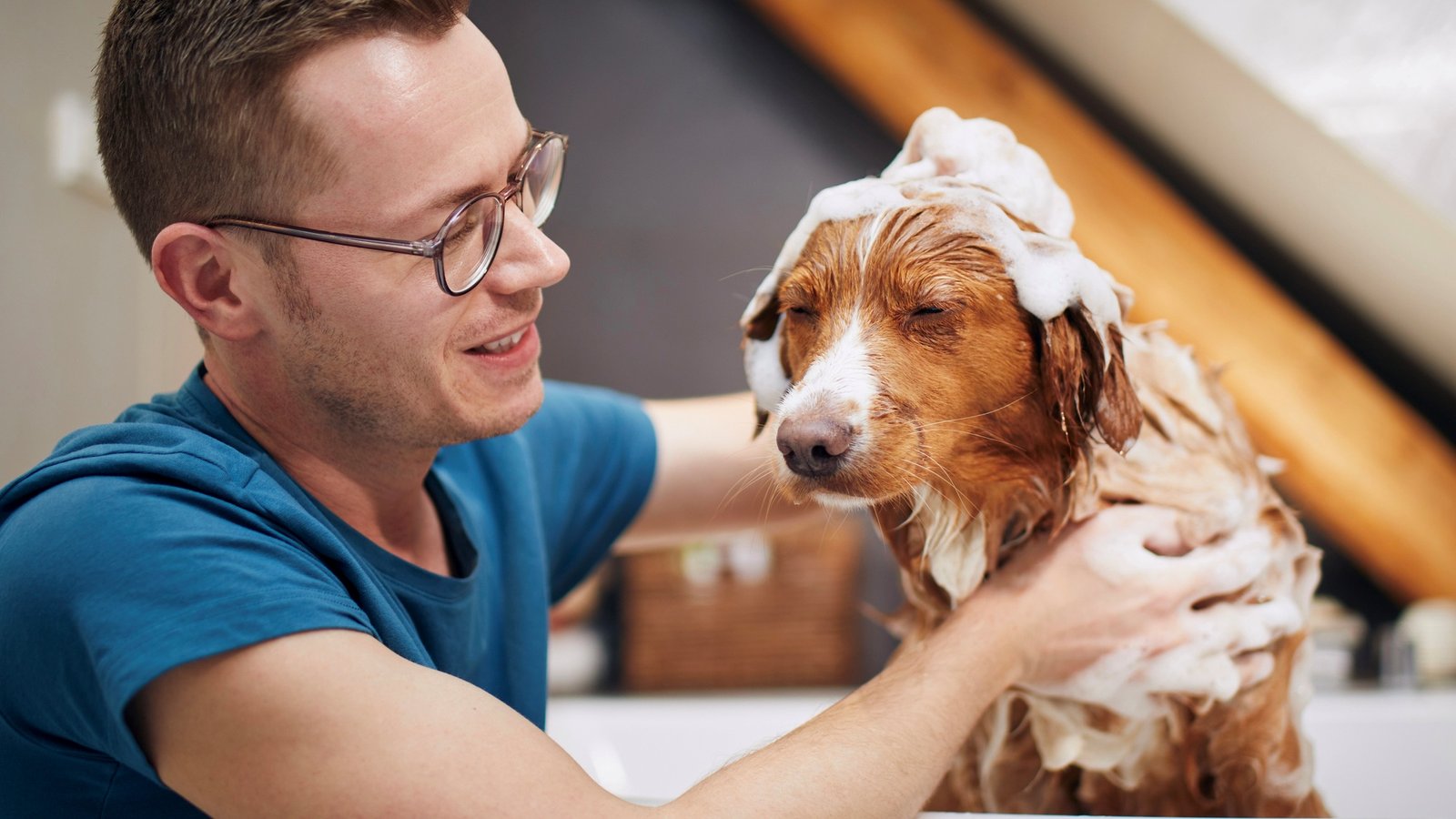 man bathing a dog