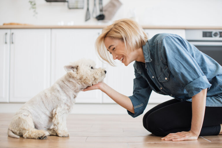 Featured: Lady fondling West Highland White Terrier while sitting on bent knees indoors.