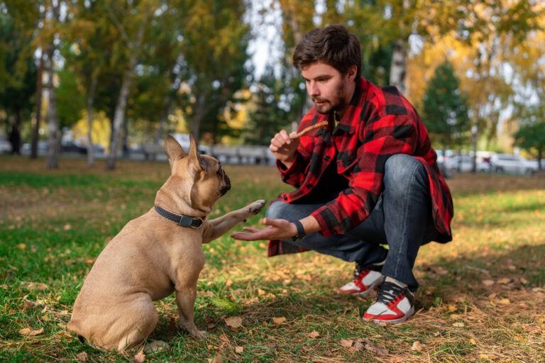 A man is training his dog
