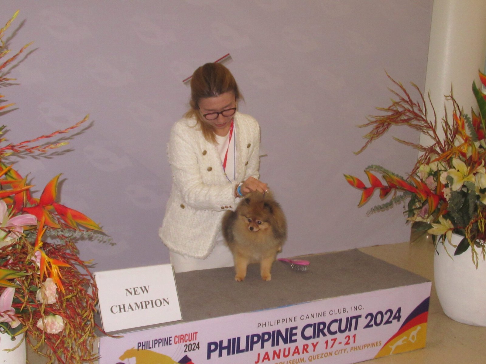 Beginnings of Dog Shows in America