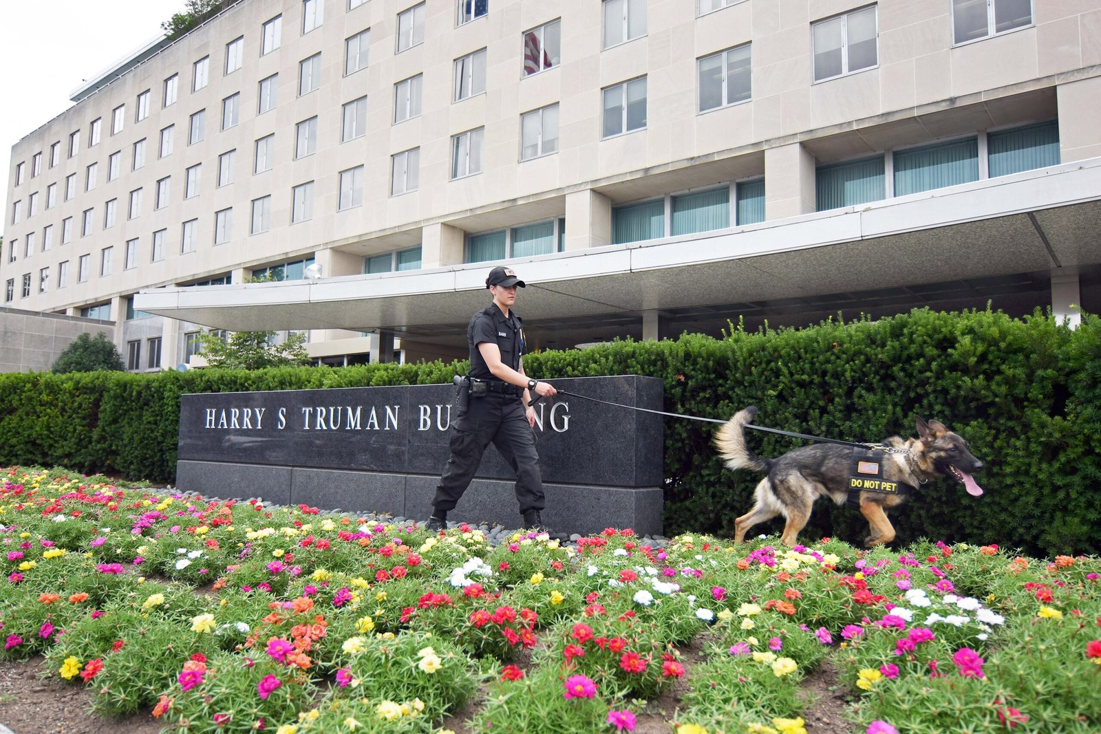 Canine Units in Law Enforcement and Military Operations