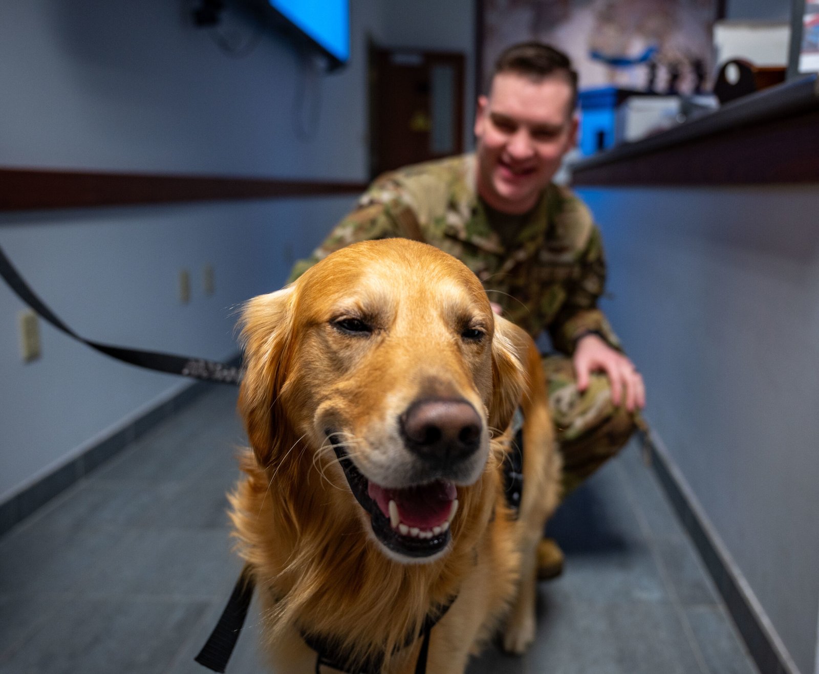 Emotional Support and Wellbeing