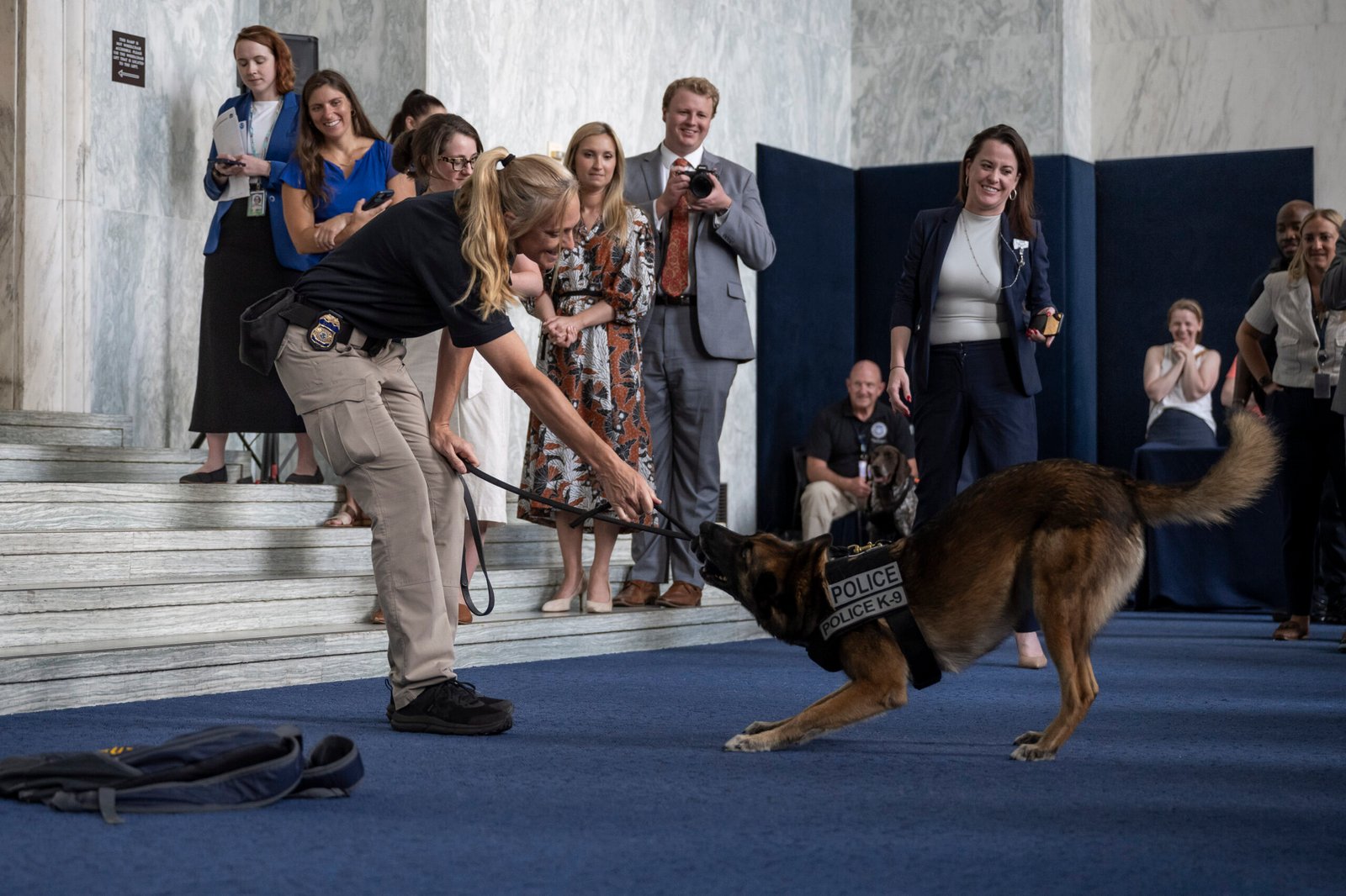 The Emotional Impact of Working Dogs