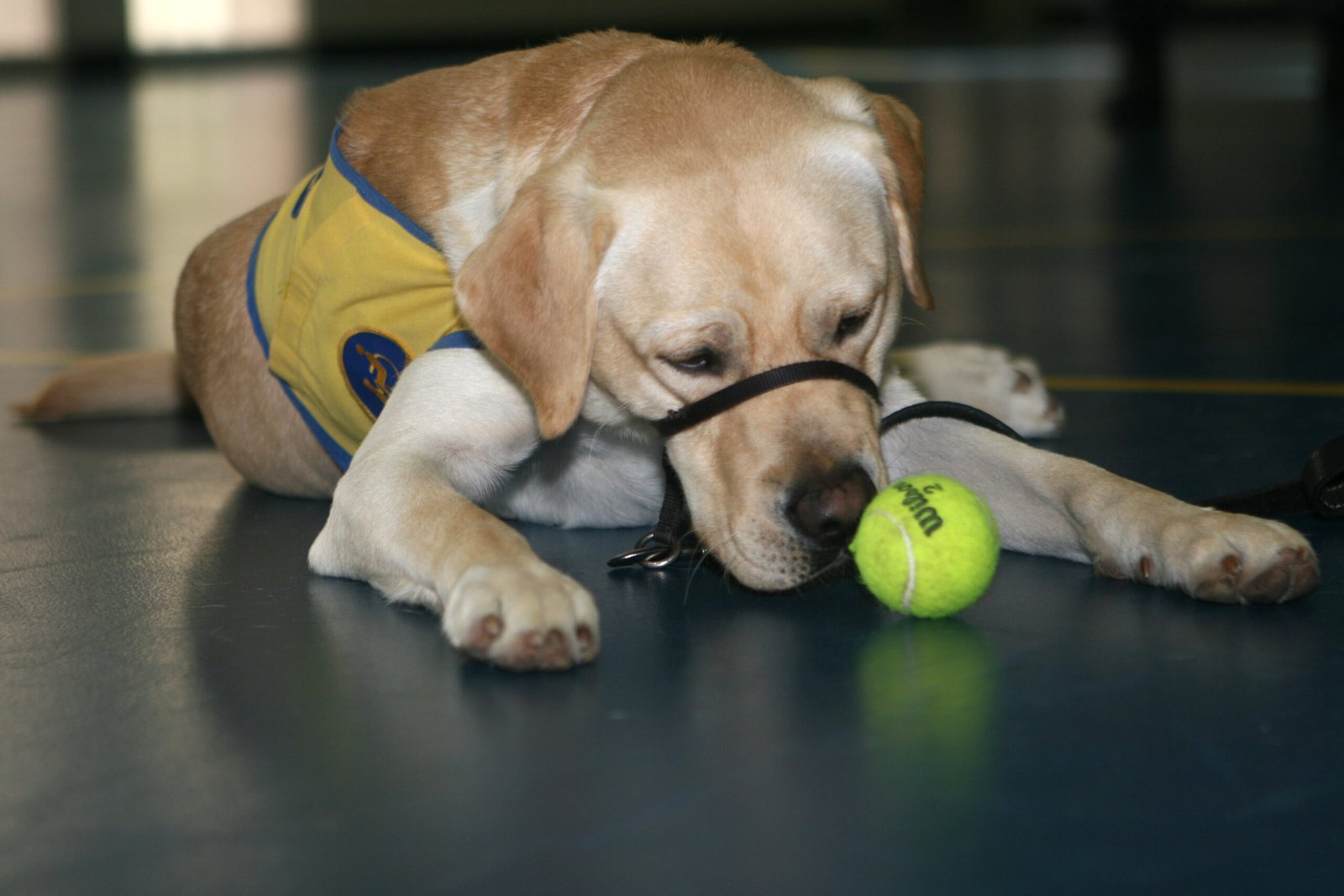 Start Training Early