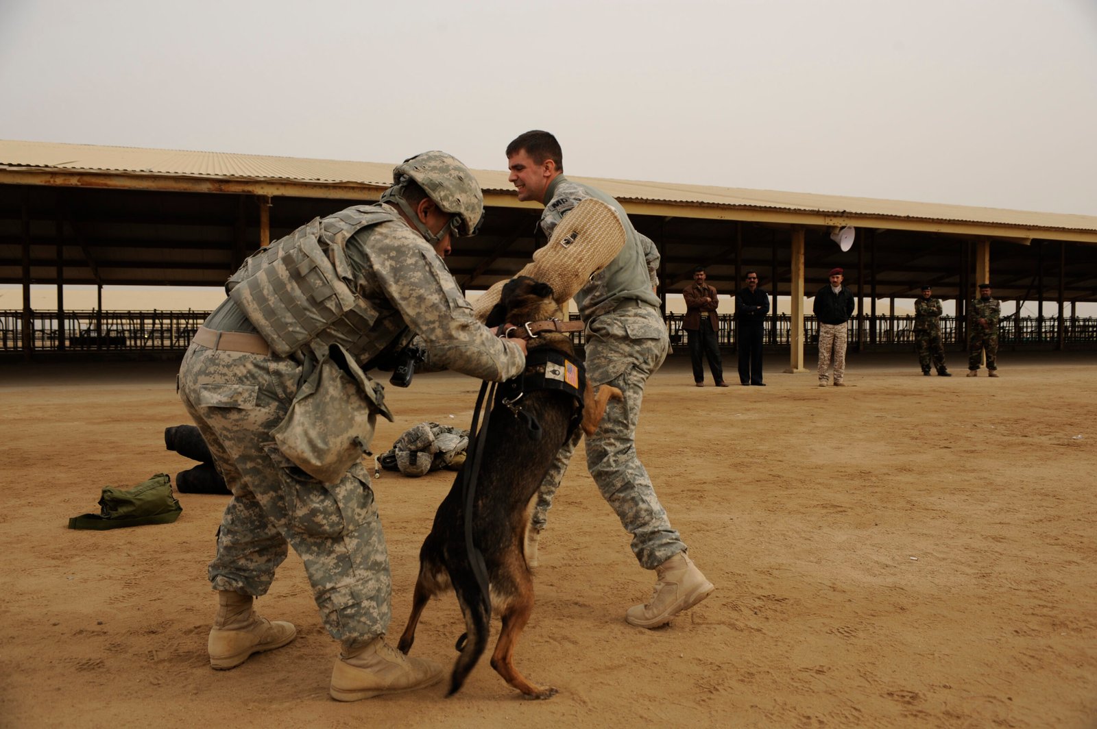 Different Approaches to Dog Training