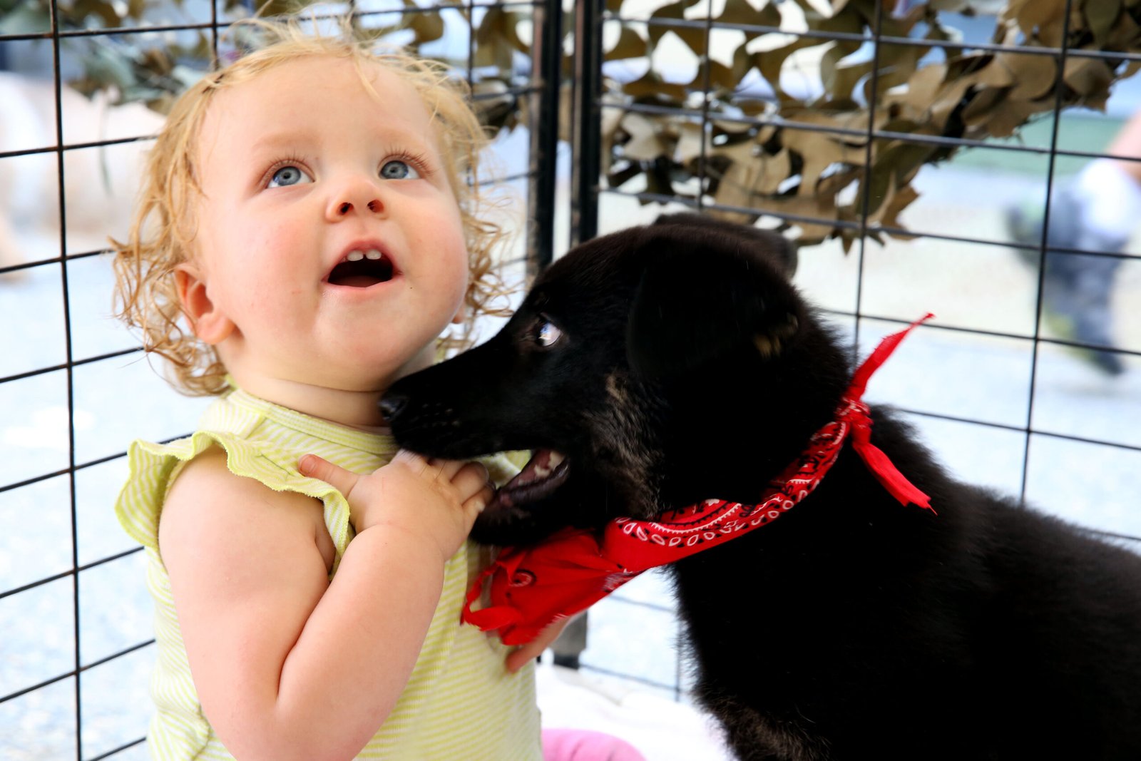 The Emotional Impact of Adoption