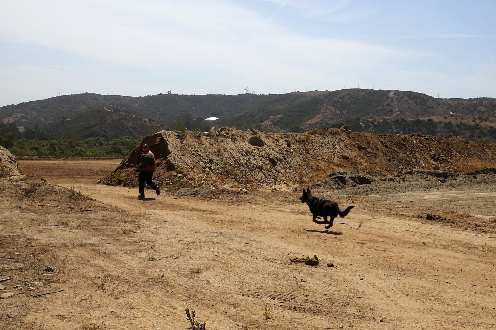 Making the Heartfelt Decision