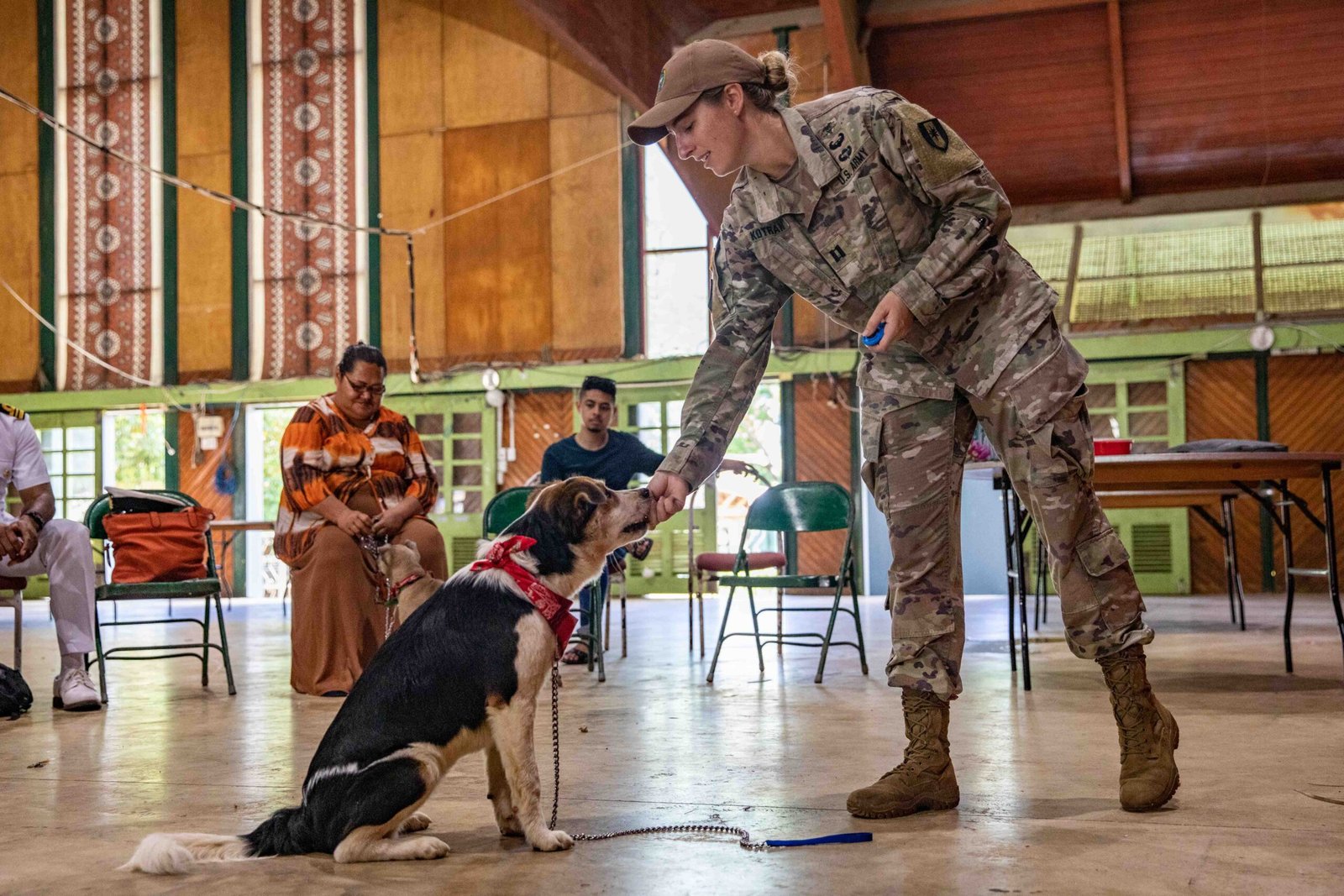 The Future of Canine Disaster Relief