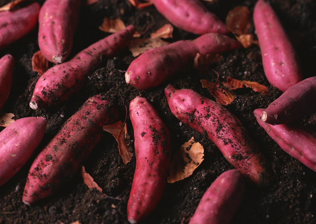 Sweet Potatoes: A Wholesome Energy Source
