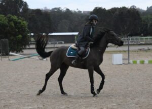 10 Common Mistakes First-Time Horse Riders Make