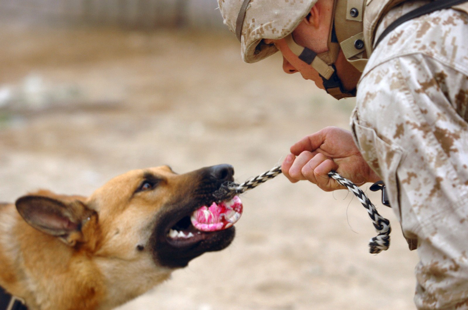 12. Refrain From Negative Reinforcement