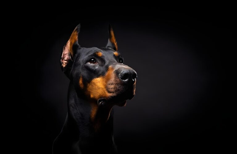 10 Dogs With the Most Intimidating Barks and 5 that Hardly Make a Sound