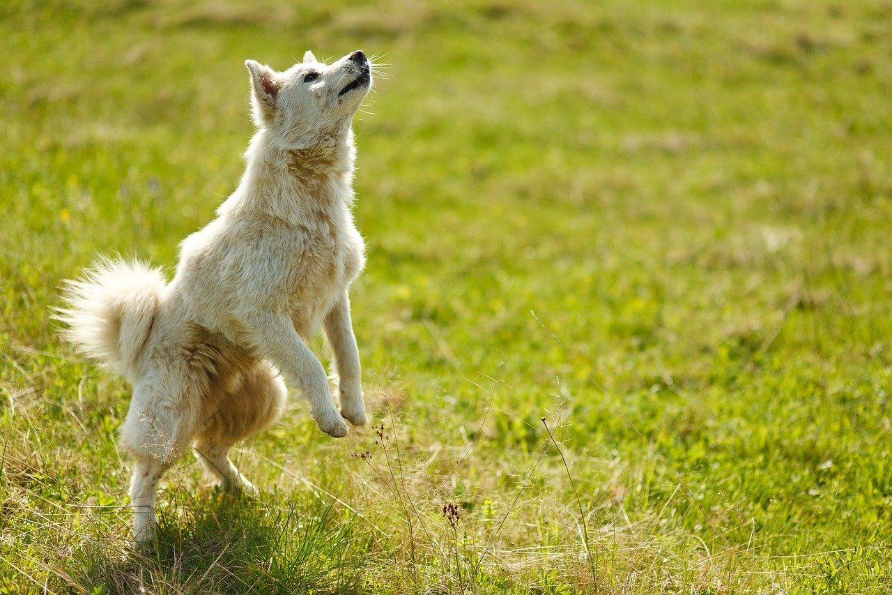 Incorporating Routine and Exercise