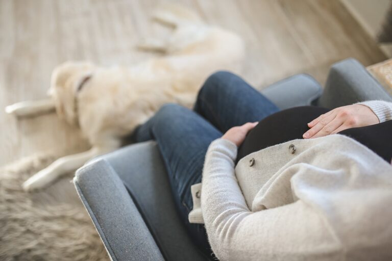 Weird Ways Dogs React To Their Owners’ Pregnancies