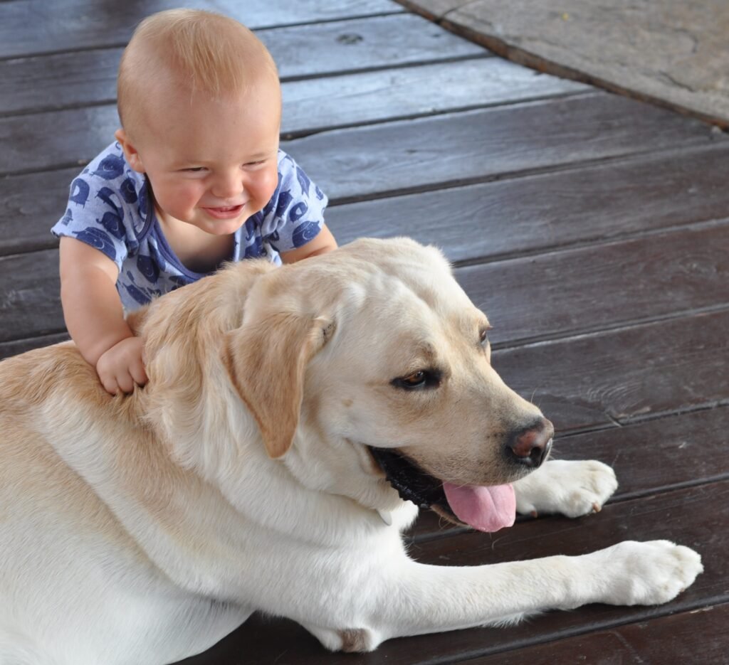 5 Large Dog Breeds That Do Well With Kids and 5 Small Ones Who Just Don't