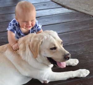 5 Large Dog Breeds That Do Well With Kids and 5 Small Ones Who Just Don't