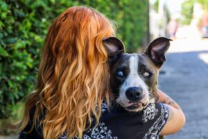 Things Dog Owners Secretly Judge Each Other For