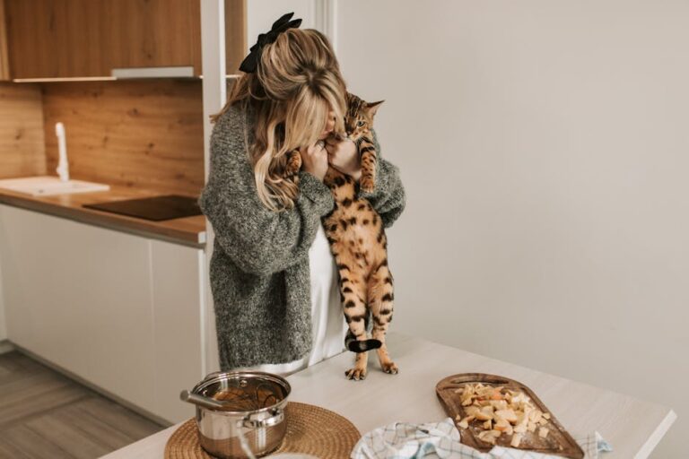 New York's Best Apartment Cats: 10 Breeds That Rule the City