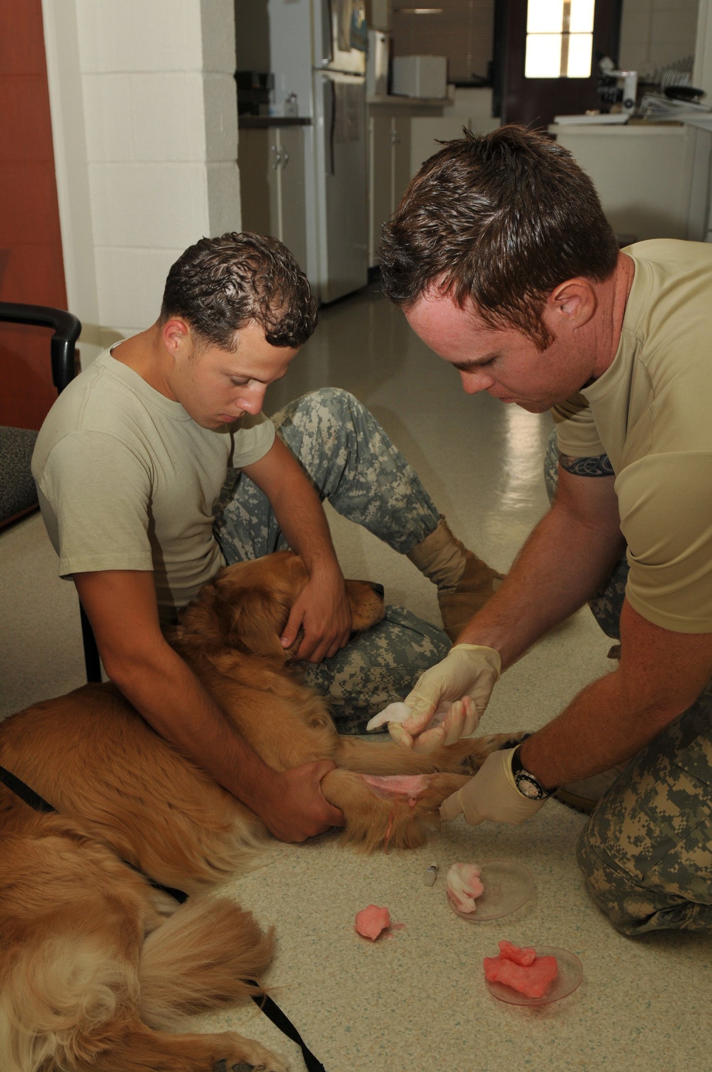 Health Considerations