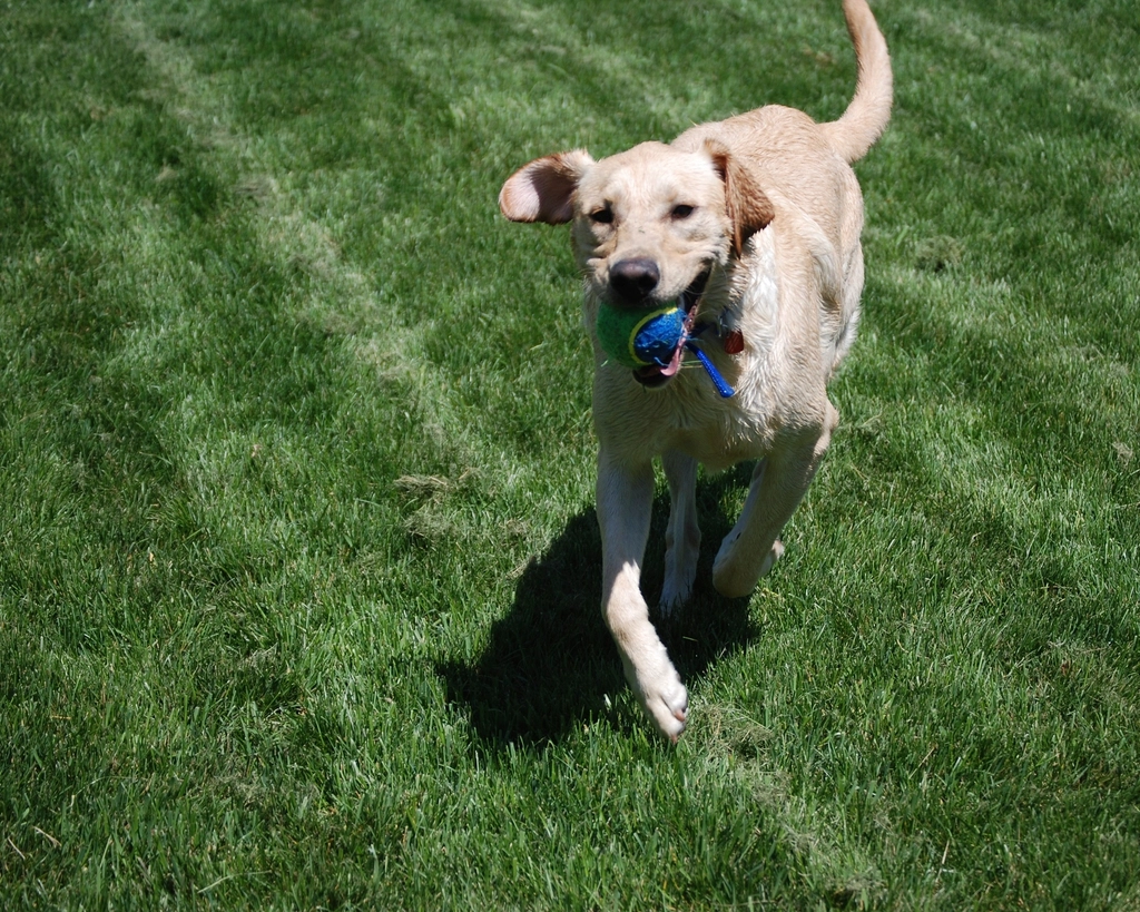 6. They Encourage Playtime
