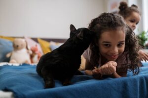 Can a Cat Love You More than a Dog?
