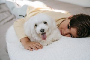 10 Reasons Why a Dog Prefers You to Treat Them Like a Dog and Not a Human
