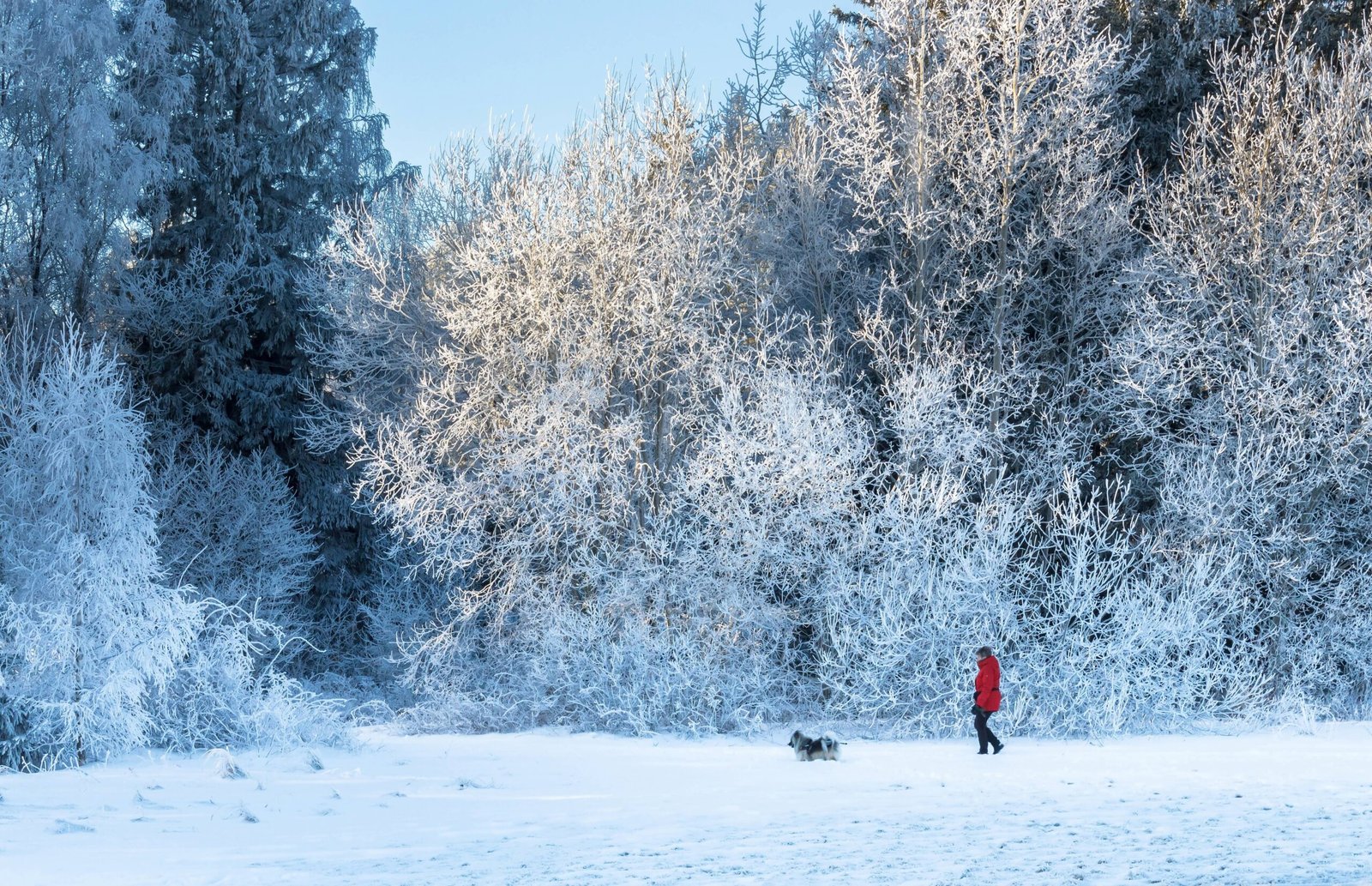 The Impact of Weather and Environment