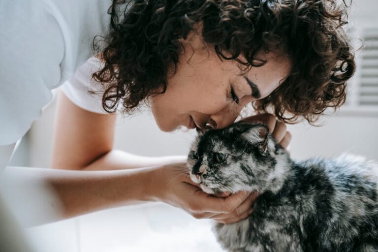 10 Emotional Benefits of Owning a Cat Only Cat Owners Will Understand
