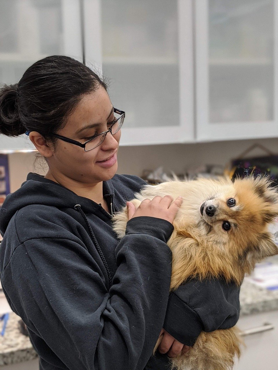 Consulting with Your Veterinarian
