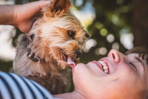 10 Things That Makes a Yorkie the Ideal Dog for First-Time Doggy Parents