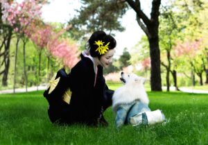 10 Things That Prove How A Spitz is a Hardy Dog