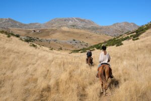 How Horse Riding Can Help You Cope With Anxiety and Depression