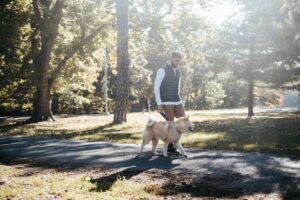 7 Intelligent Dog Breeds Bred for Herding and 7 Meant to Be Guardians