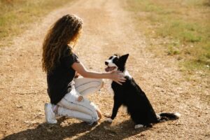 10 Things Only a Border Collie Owner Will Understand