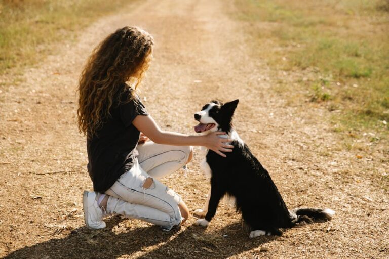 10 Things Only a Border Collie Owner Will Understand