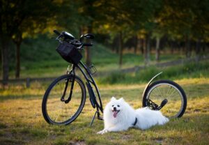 Why Cute Dog Breeds Can Sometimes Turn into Social Nightmares