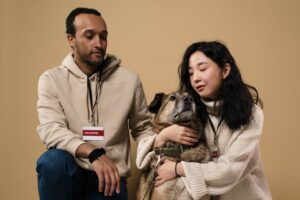 10 Reasons Why a Rescue Dog Will Love You With Its Life