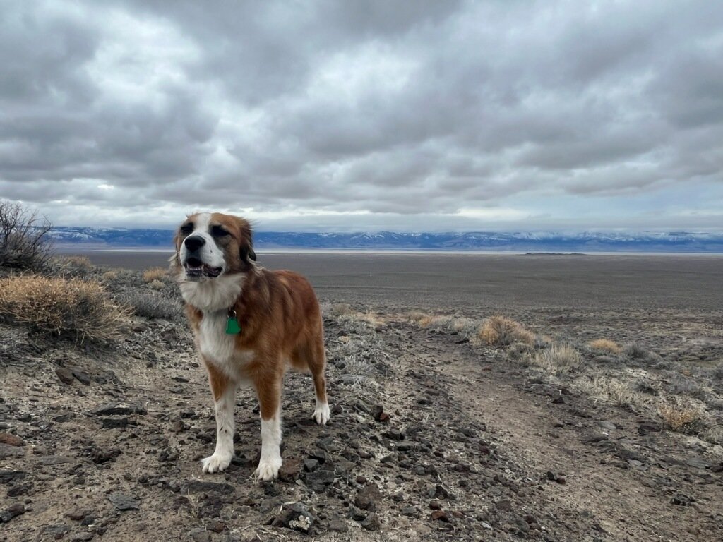 8. Seeking Independence