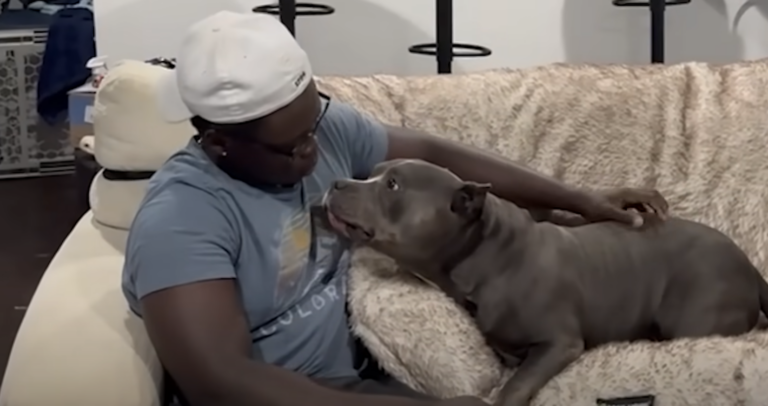 Rescue Bulldog Can’t Get Enough of His Dad’s Hugs
