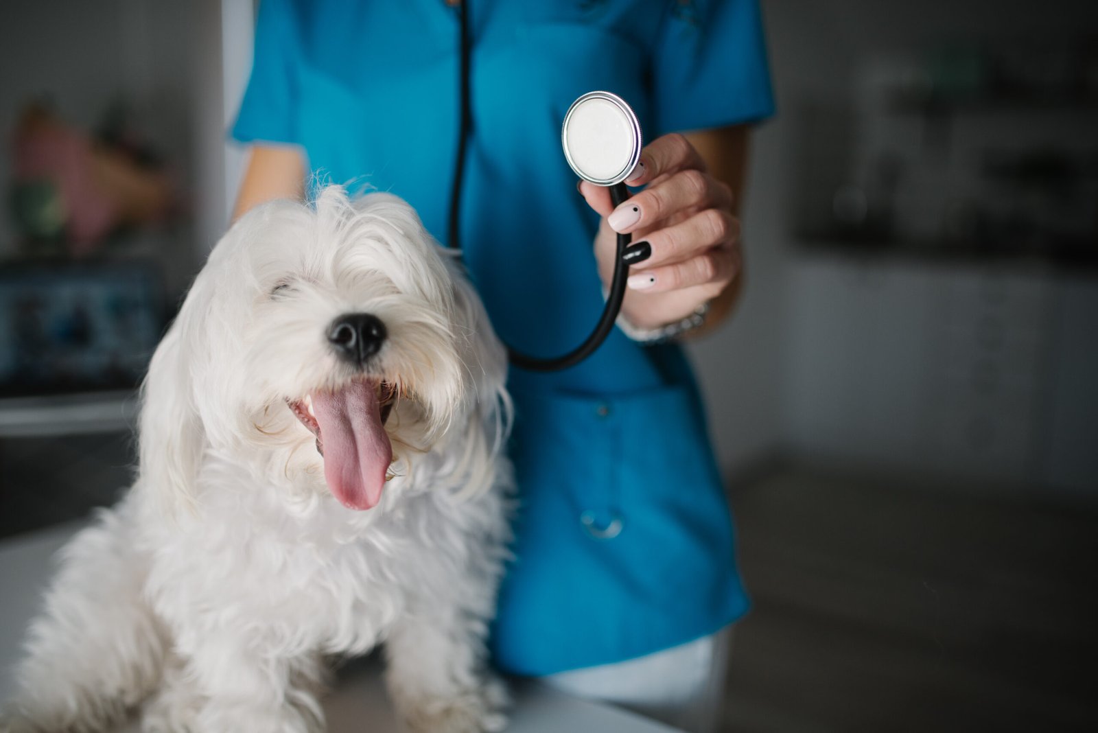 Consult Your Veterinarian